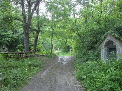 Károlyfalvai pincesorok