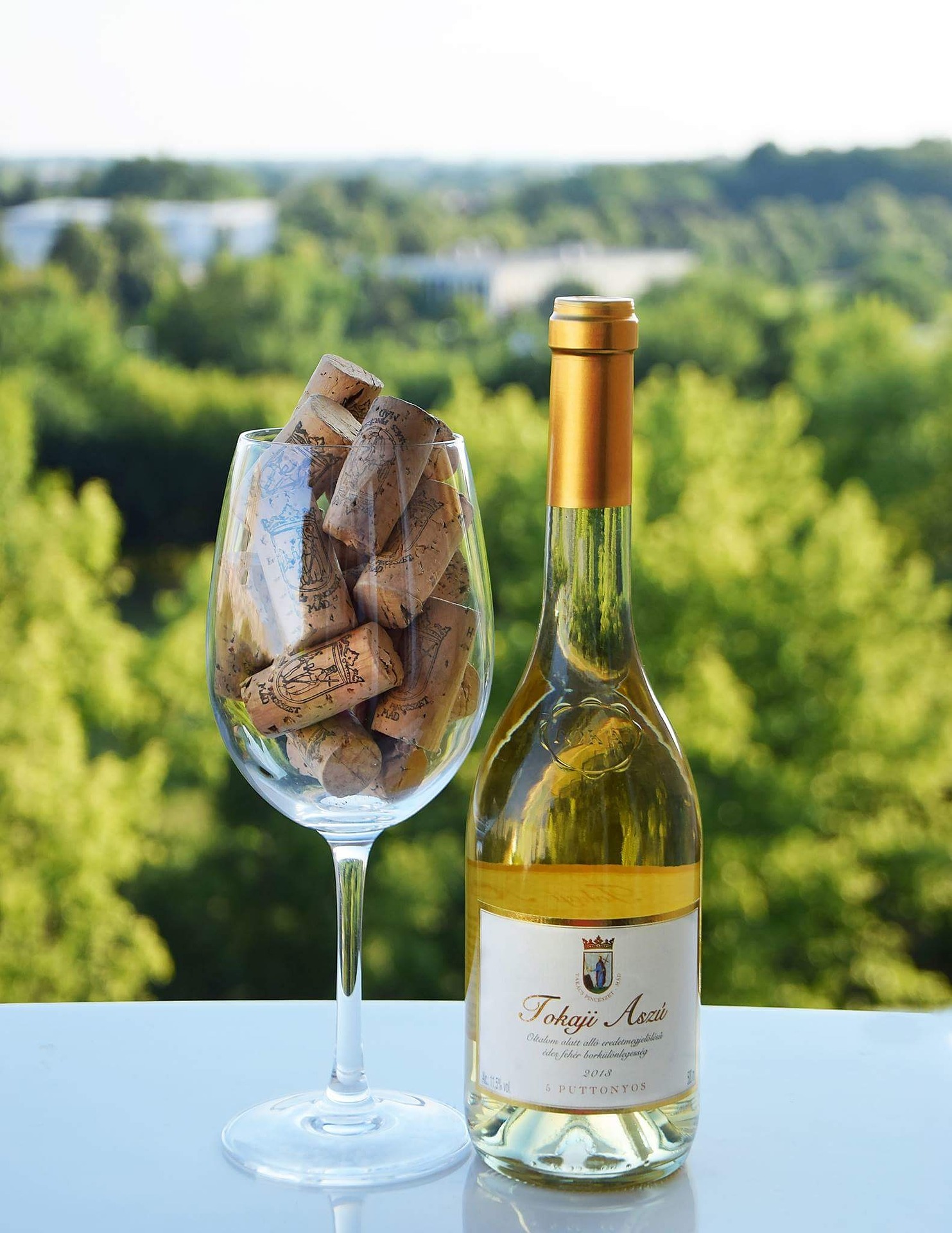Tokaj borvidék